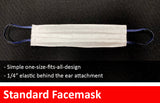 The Calavera Facemask